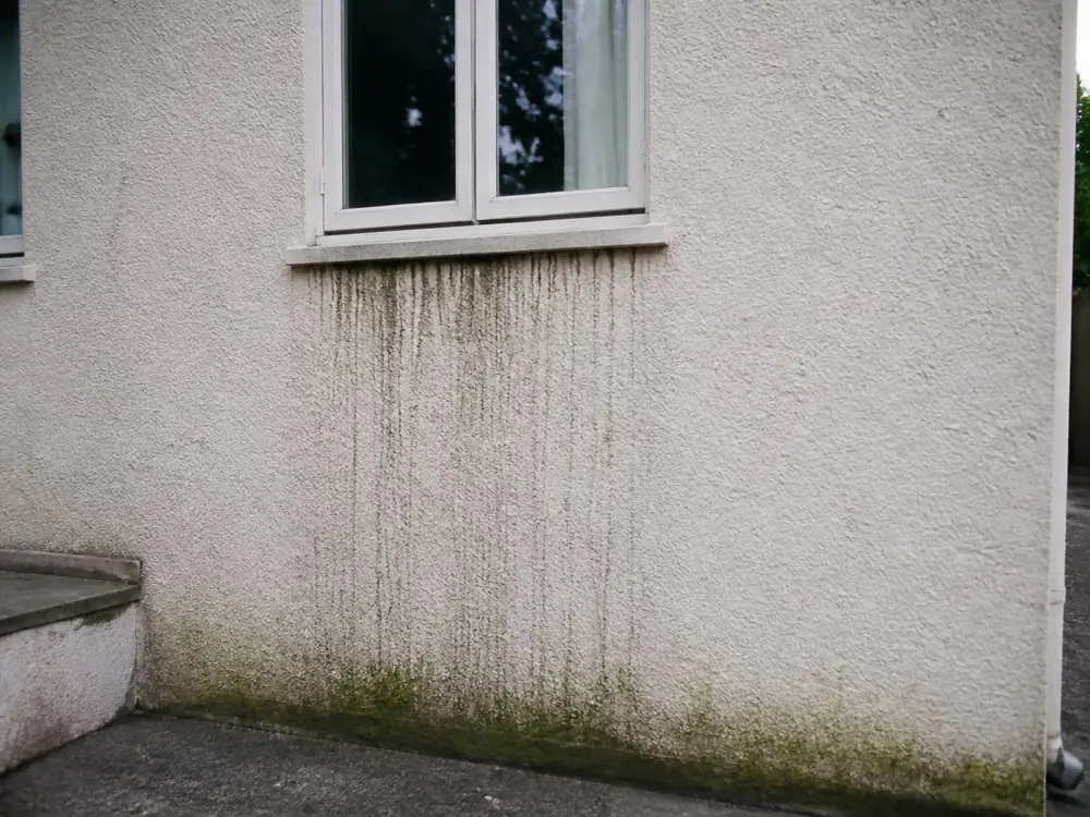 Mycie elewacji — stan przed myciem ciśnieniowym w Łomiankach